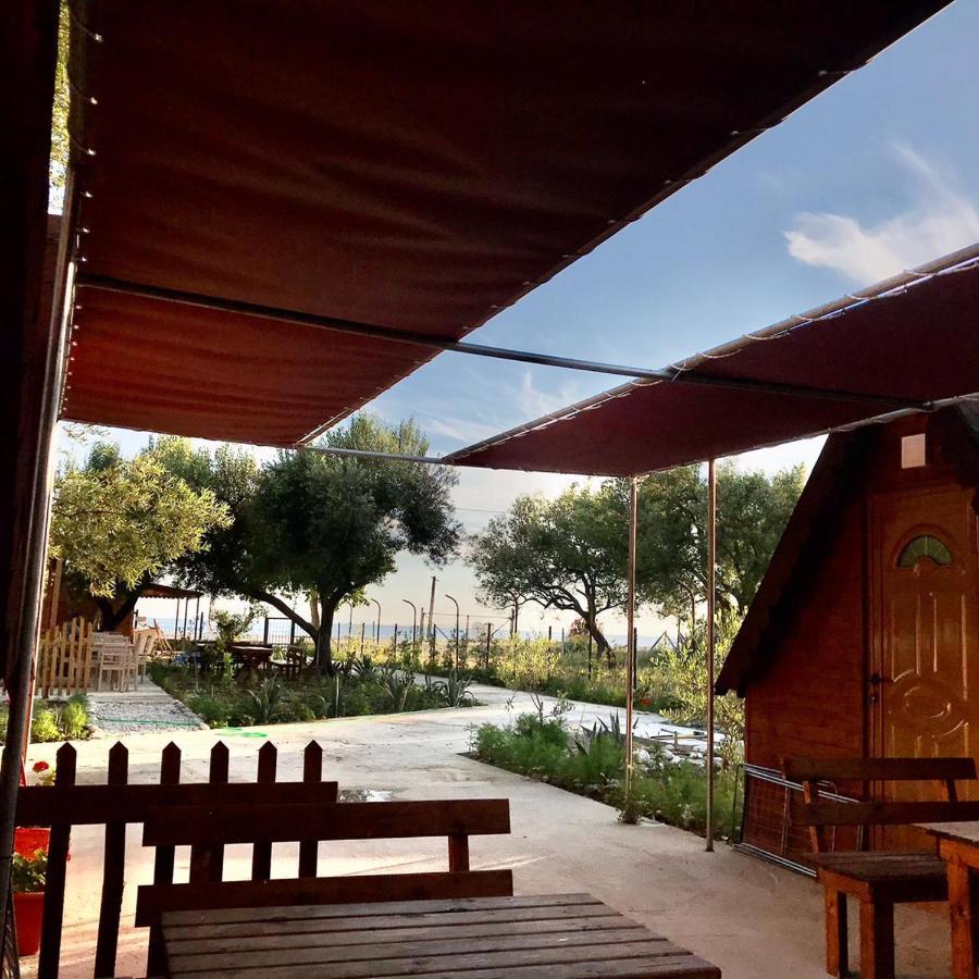 Violet Village بورش المظهر الخارجي الصورة
